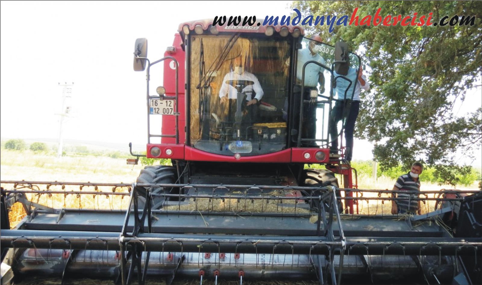 MUDANYA'DA HUBUBAT HASADI BALADI